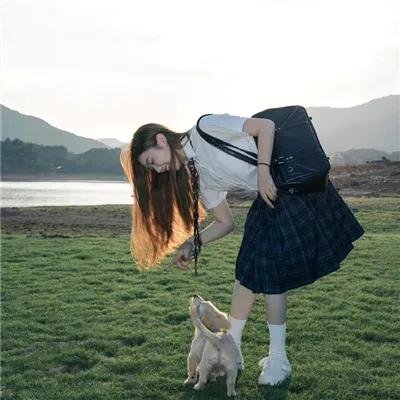 玩伴猫耳娘